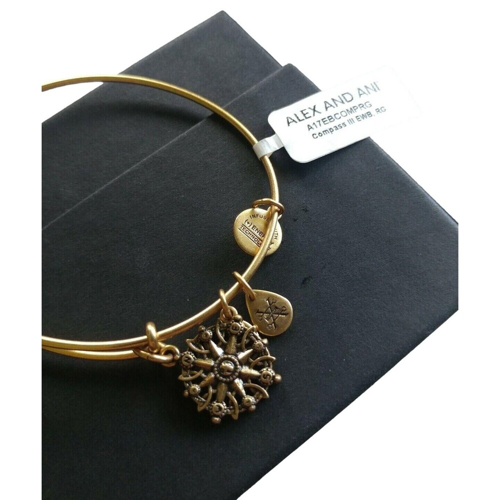 Alex and Ani Path of Symbols Compass Direction Bangle Bracelet NEW Tags
